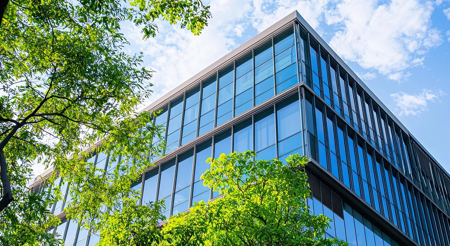 Glass-fronted building seen through trees